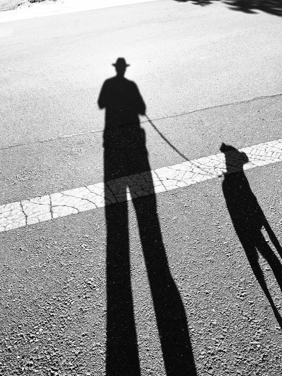 The Dog Poop Gospel: My Daily Dose of&nbsp;Sanity