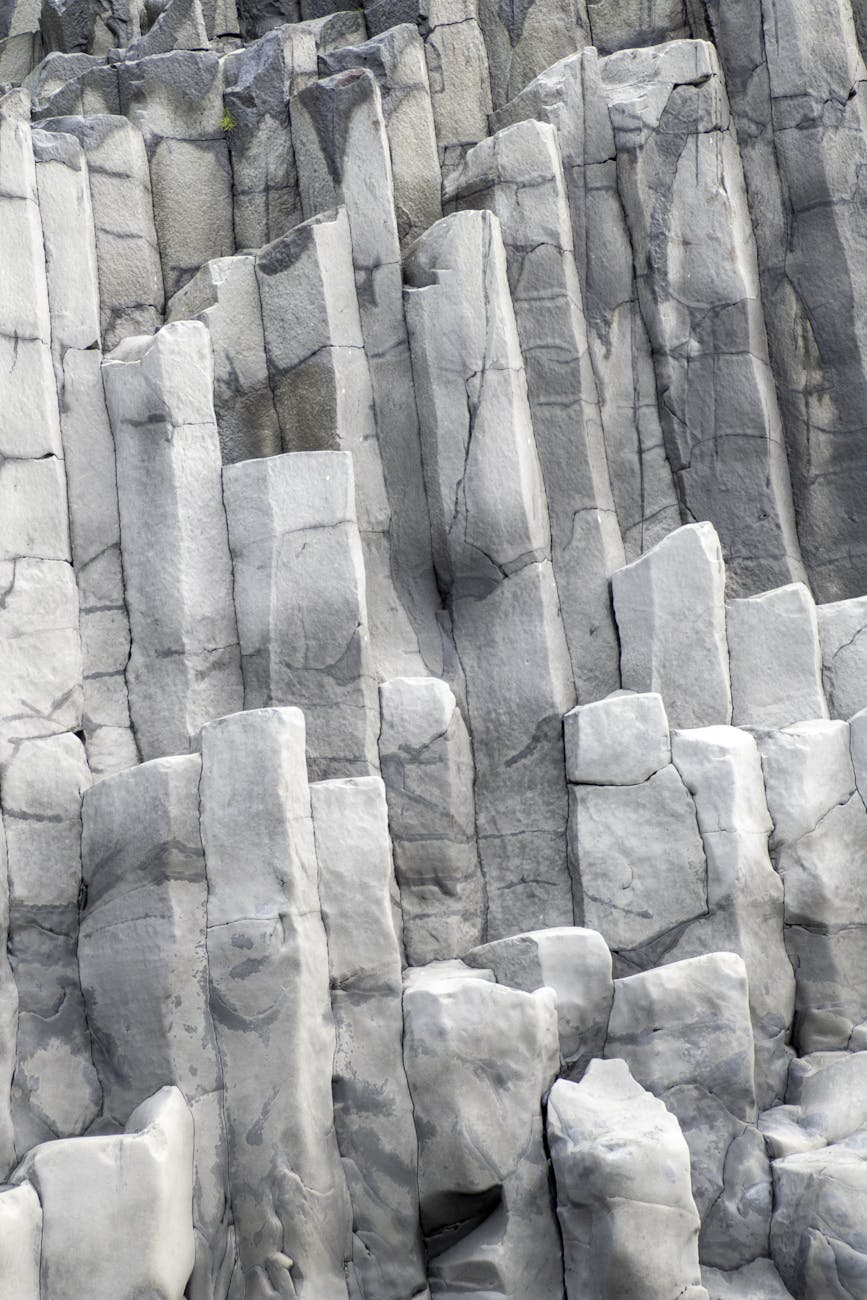 The Cult of Growth: Humanity’s Favorite Suicide Mission